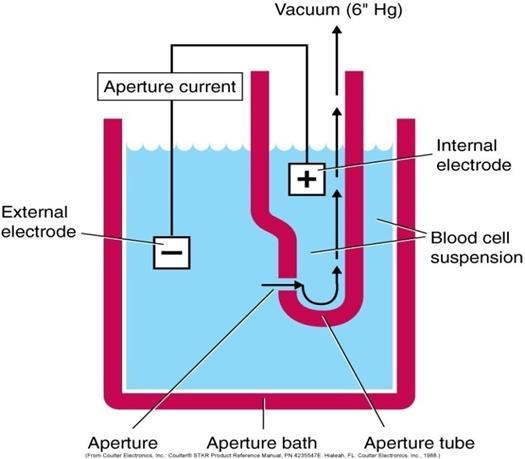 Hematológiai automaták mérési elvei Az elektromos vezetőképesség mérésén alapuló sejtszámlálók (Impedancia