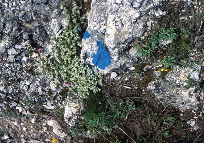 4. ábra.