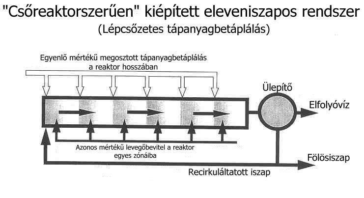 környékén nagy oxigén-igény van, ezért lecsökken a koncentrációja ahol