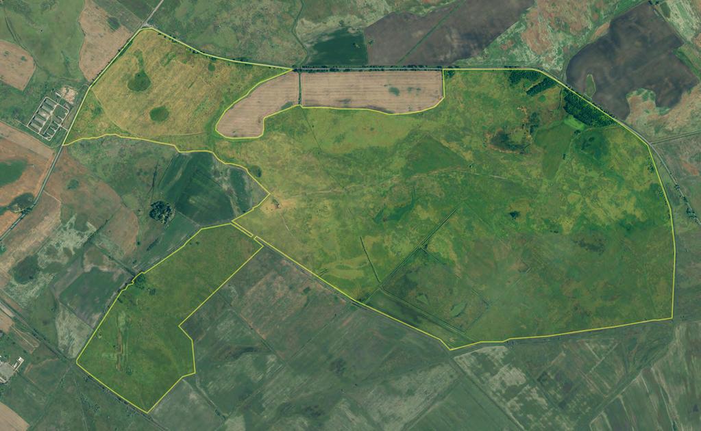 Állománya azonban napjainkra a múltszázadbelinek egytizedére csökkent.
