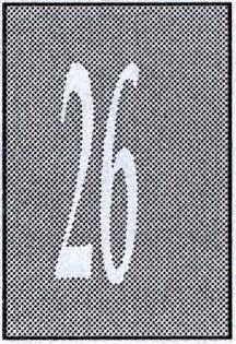 (Ruzsonyi, 2002) Represszív Intervcnci6s Neoszankciórendszer treatment f I tipikusan olyan végrehajtási eljárások tartoznak, amelyeknél az intézményrendszer