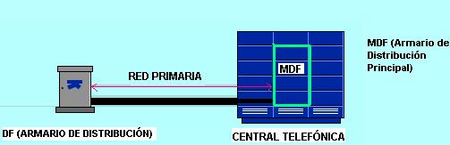 4.1.1 Red Primaria.