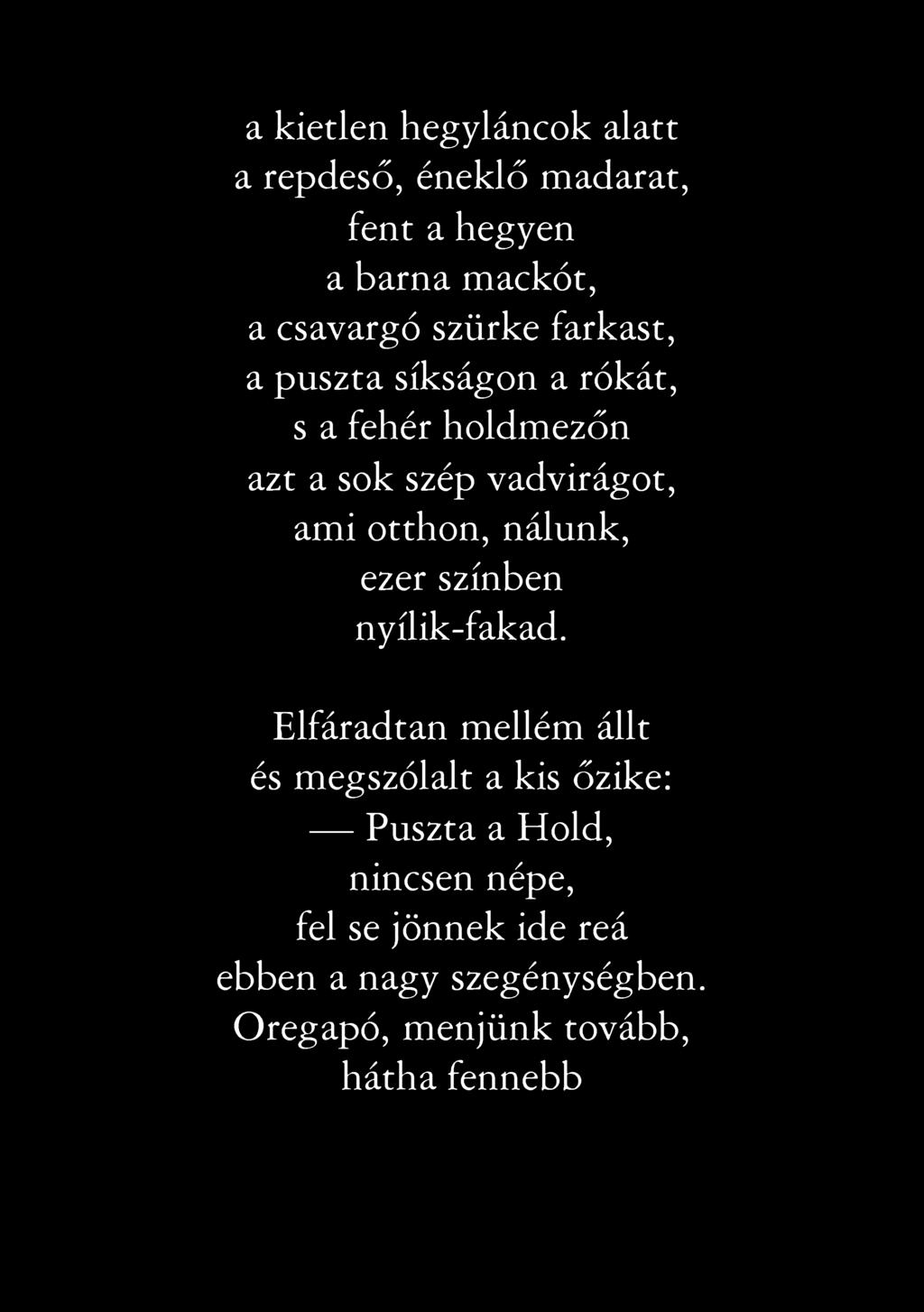 a kietlen hegyláncok alatt a repdeső, éneklő madarat, fent a hegyen a barna mackót, a csavargó szürke farkast, a puszta síkságon a rókát, s a fehér holdmezőn azt a sok szép vadvirágot, ami otthon,