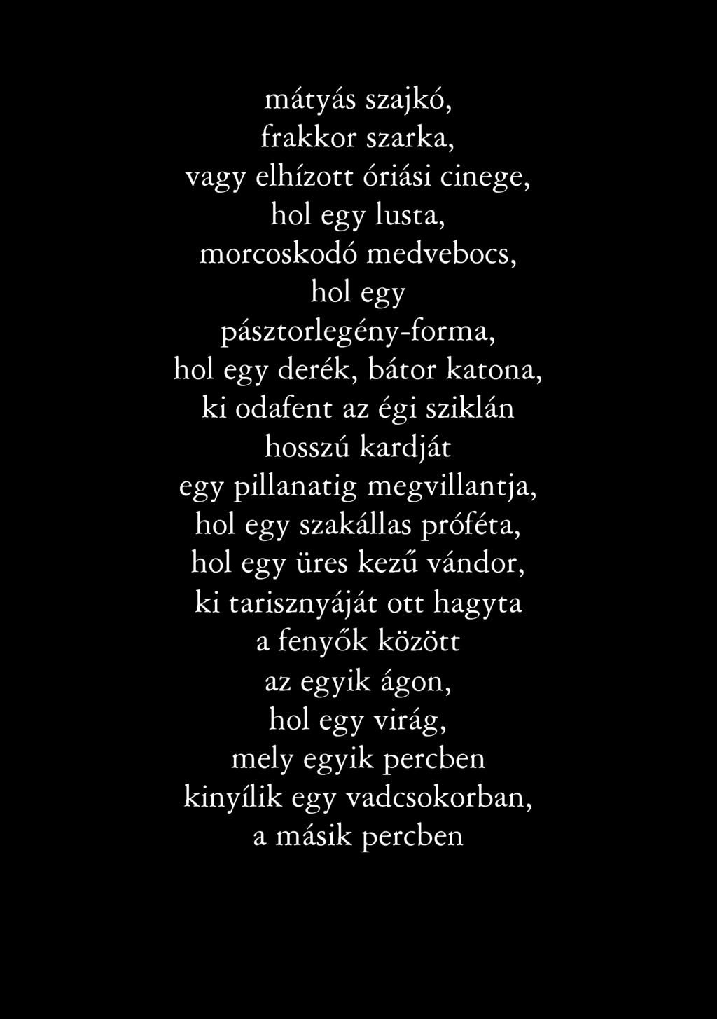 m á ty á s szajkó, fra k k o r szark a, v a g y e lh íz o tt ó riási cin eg e, h o l eg y lu sta, m o rc o sk o d ó m e d v e b o c s, h o l eg y p á sz to rle g é n y -fo rm a, h o l egy d e ré k, b