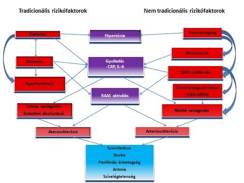 4. ábra: Tradicionális és nem tradicionális rizikófaktorok, amelyek szerepet játszanak a makrovaszkuláris érbetegségek kialakulásában 2.