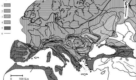 35 ezer éve Európában megjelent a képzőművészet, részben a barlangok falán lévő festmények, részben kőből faragott vagy agyagból kiégetett, elhízott formájú asszonyszobrok, az ún.