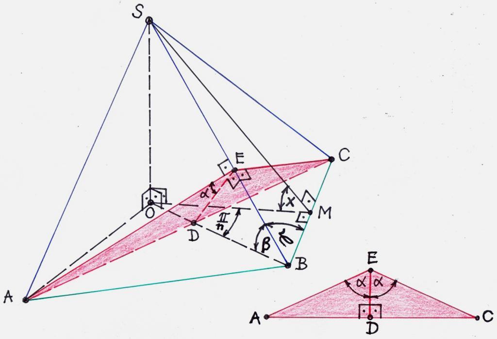 2 A feladat Egy szabályos n - szög alapú gúla / piramis oldallapjainak lapszöge 2α. Határozzuk meg az alaplap és az oldallapok lapszögét / a palástsíkok hajlását! A megoldás Ehhez tekintsük a 2.