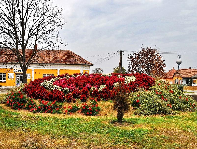 követendőek lehetnek a településen.