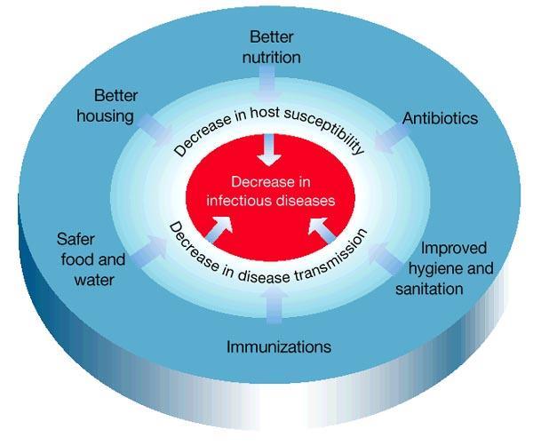 AZ IMMUNOLÓGIA JELENTŐSÉGE Factors influencing the decrease in infectious