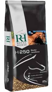 Royal Horse termékmenedzser - Orgoványi