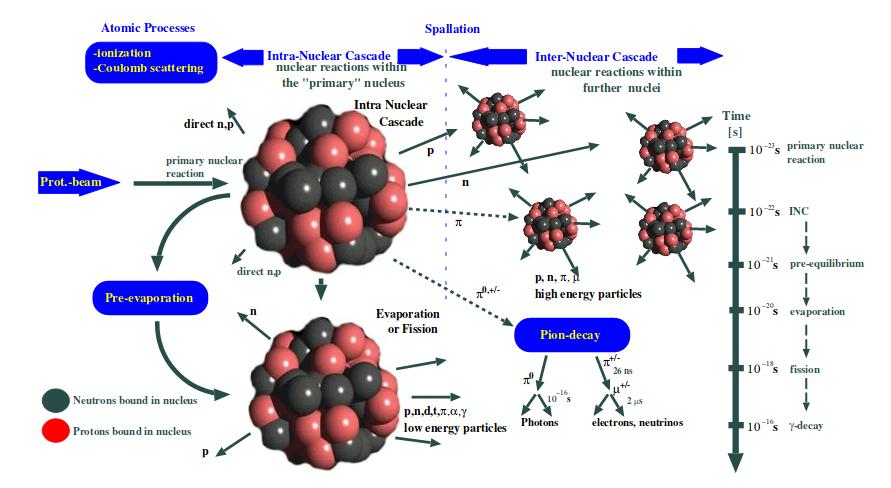 Spalláció és fisszió A két folyamat hasonló, de vannak különbségek Spalláció folyamán több neutron lép ki ( 30) kisebb