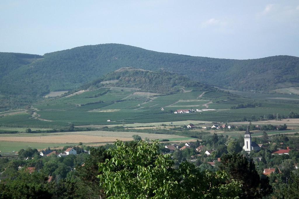 Fotó: Viniczai Sándor Talajaink összes K-tartalma meglehetősen változó, a feltalaj 30 centiméteres rétegében 100 kilogramm K2O/ ha (durva homok) értéktől 50 000 kilogrammig (nehéz agyag) terjed,