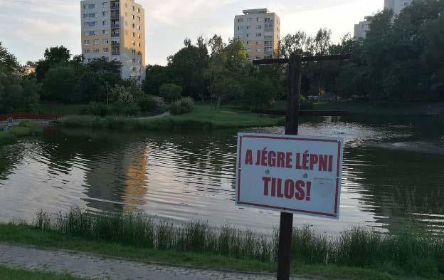 elvezetéssel érintett terület 29 772 131 366 Kertváros jellegű terület Közlekedési felületek (útburkolatok) (m2) 18 108