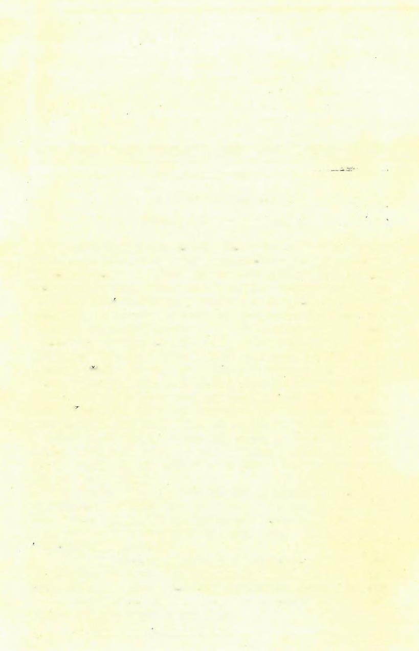 4. A N agy Kapela tengerparti lejtője Növi és Stalak között. (Felvételi jelentés 1913-ból.) D r. K o KMÖS T lv A D A R -tó l. (Az I. táblával és három szövegközti ábrával.