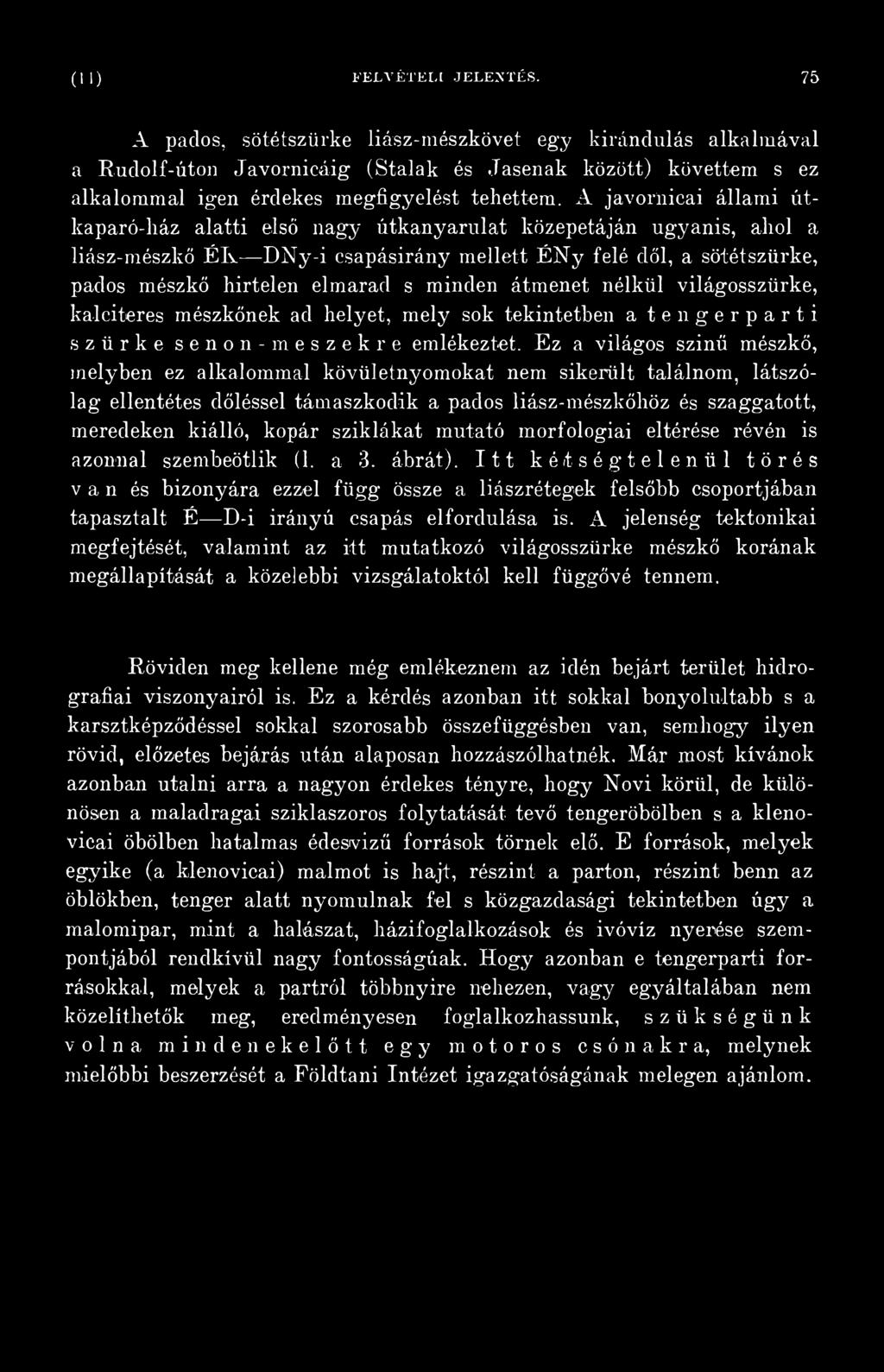 Ez a világos szinű mészkő, melyben ez alkalommal kövületnyomokat nem sikerült találnom, látszólag ellentétes dőléssel támaszkodik a pados liász-mészkőhöz és szaggatott, meredeken kiálló, kopár
