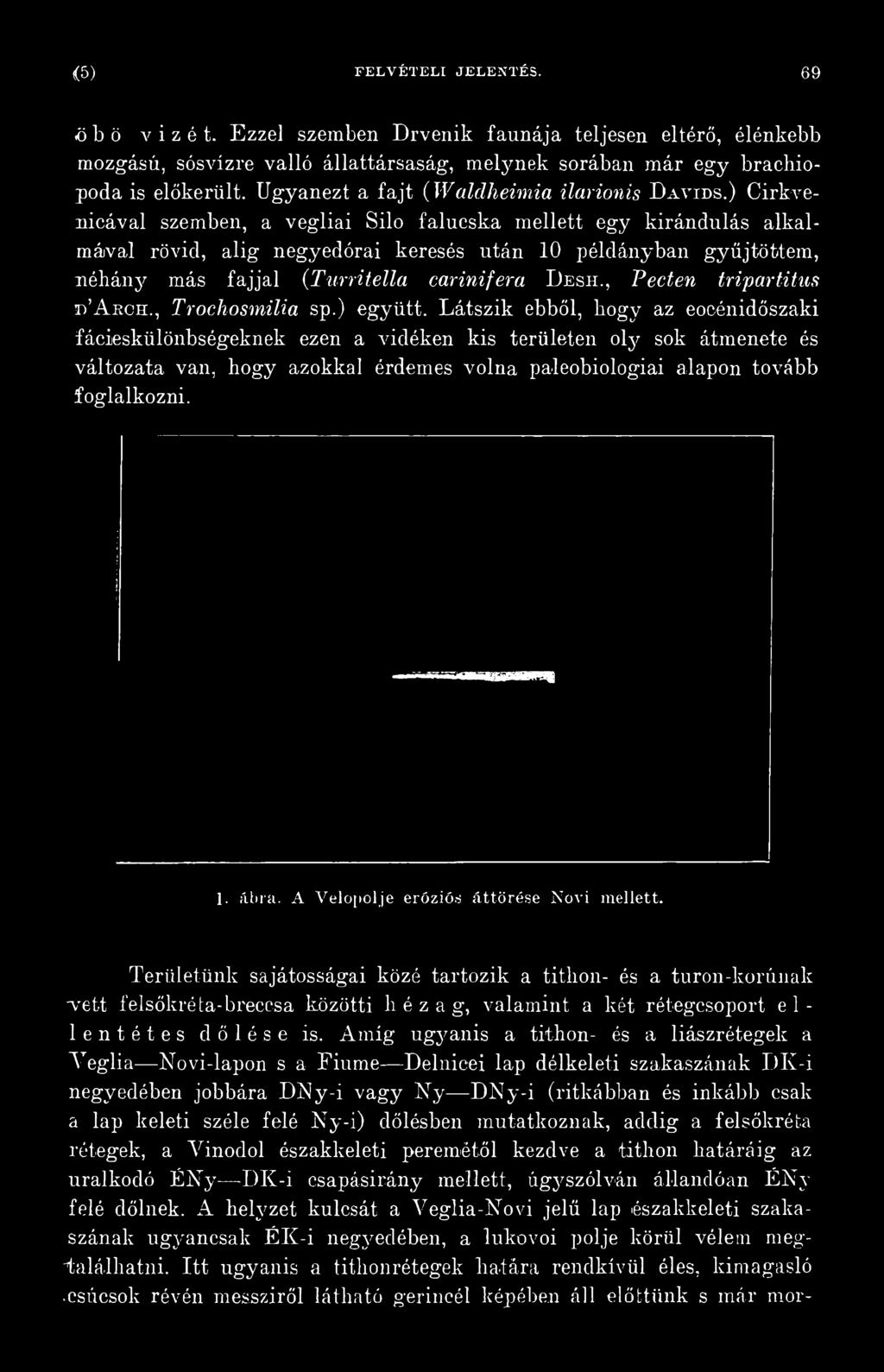 Látszik ebből, hogy az eocénidőszaki fácieskülönbségeknek ezen a vidéken kis területen oly sok átmenete és változata van, hogy azokkal érdemes volna paleobiologiai alapon tovább foglalkozni. 1.