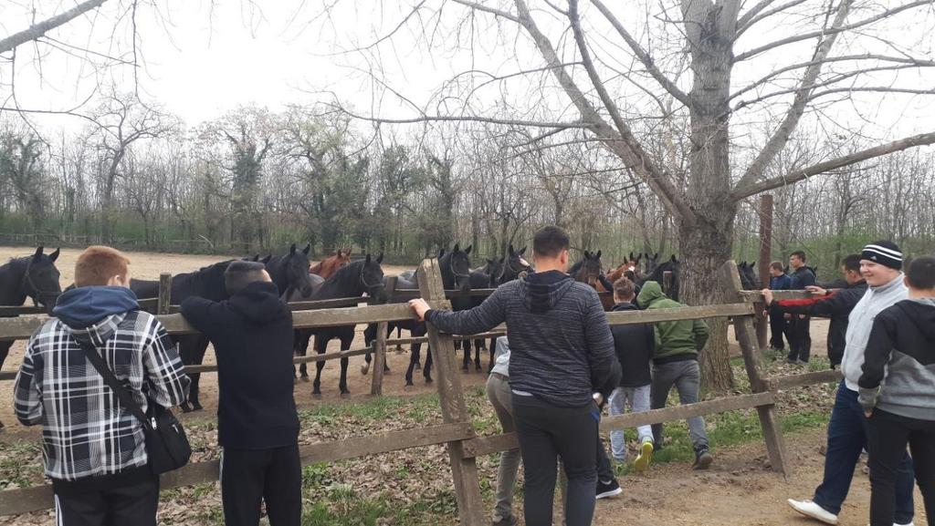 kocsikázhattak Mezőhegyesen és a 20-as majorban egyaránt.