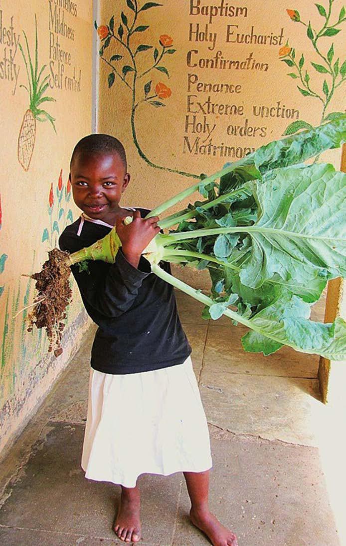 MonJardin! projekt, majd a domonyai-afribotanica LLP. cég keretein belül.