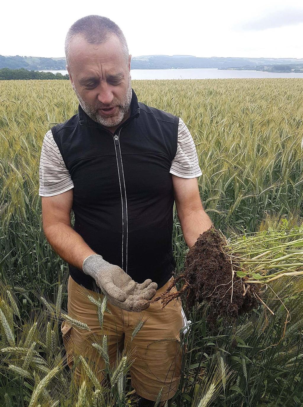 NÖVÉNYVÉDELMI MAGAZIN Ha én gazdálkodni szeretnék, mit javasolna szántás helyett?