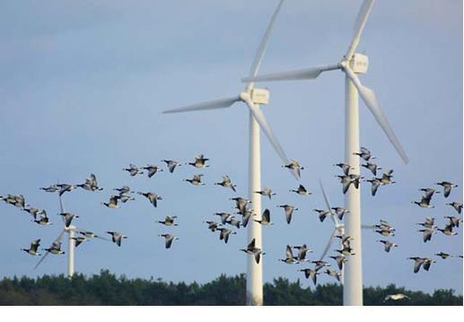 kizárva Elektromágneses sugárzás