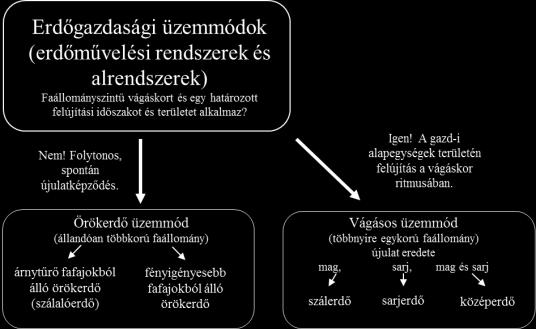 Üzemmódok