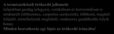 strukturált (többszintes, csoportos