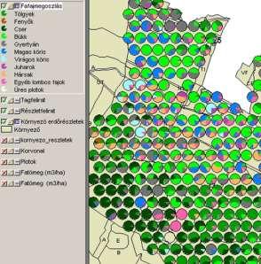örökerdő-gazdálkodás támogatása: Terepi