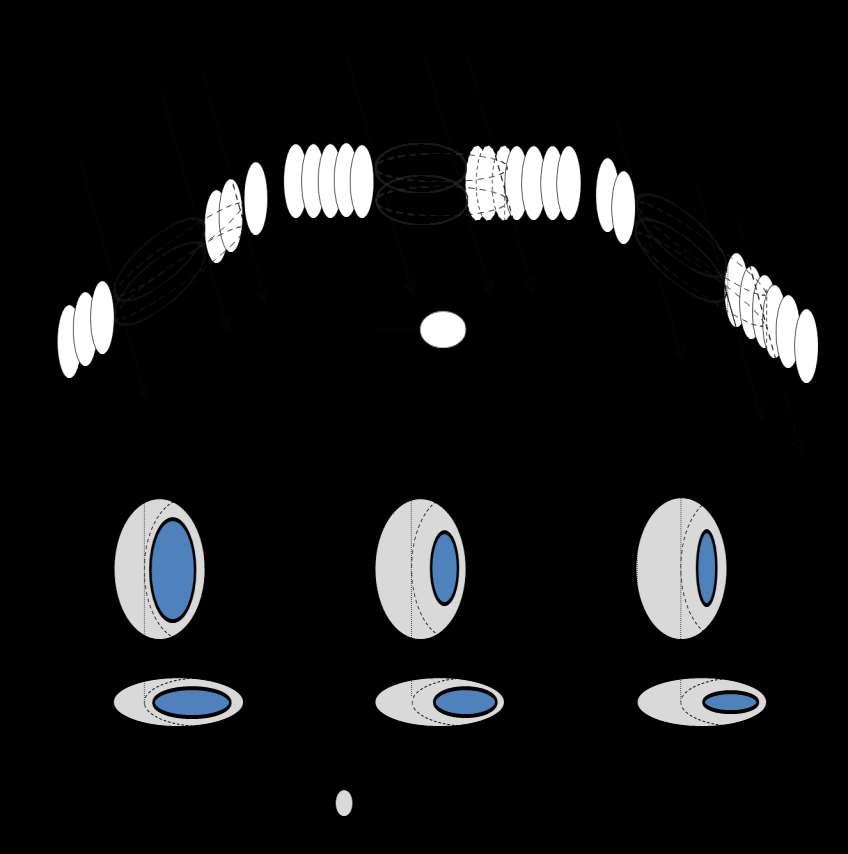 A kitettség