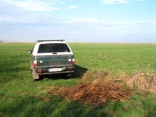 jelentkező, tavaszi metszések, park-ápolási munkák során összegyűlt, szociális tüzelő céljára nem alkalmas, vékony gallyat hasznosítjuk a varjak számára kihelyezett fészekanyagként.