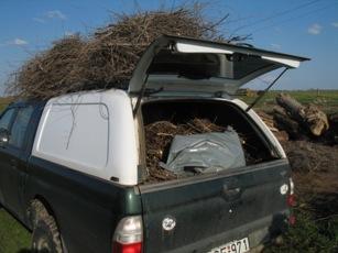 Emellett kiskerti metszésből származó gyümölcsfa ágak, rózsa- és szőlővesszők is kerültek a megfestett fészekanyagba.