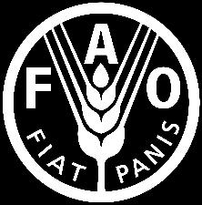PARTNERSÉG FAO GS1 Deloitte Az ENSZ Élelmiszer és Mezőgazdasági Szervezete együttműködést alakított ki a TE-