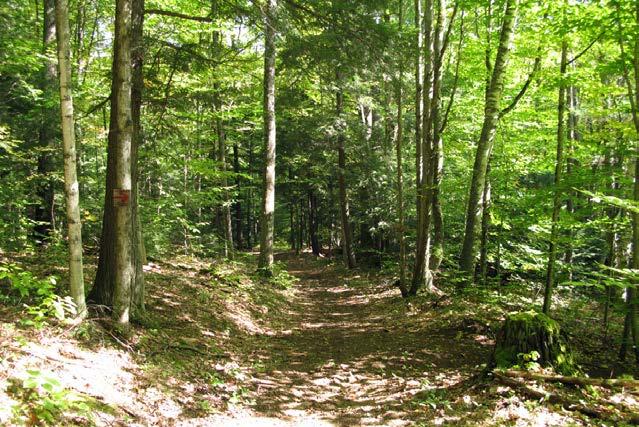 Paths and Trails Introduction. The trails and paths located on public land in Elizabethtown were inventoried and mapped.