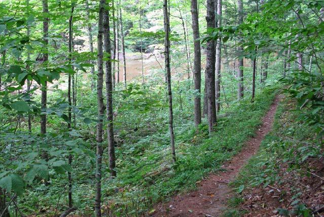 Increase public awareness of public trails (see sign recommendations that follow) 2. Maintain and distribute up-to-date maps of public trails in printed and electronic formats (in progress) 3.