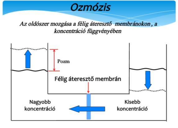 sótalanítás