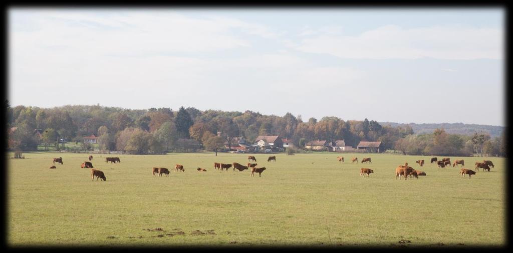 VILÁGUNK,