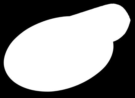 pulykapárizsi