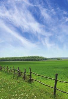 agrobotanika növénytermesztés növénygenetika FERTILIZATION EFFECT ON WEED FLORA MINIMAL DISTURBANCE-SOIL STRUCTURE Elnök:SOIL Dr. Váradi László dásról és a hal védelméről szóló törvény ORGANIC8.