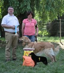 Erdős László Tata Klubkiállítás.05.06 fiatal nagyon jó 3. Kirsten Wesche (D) Miskolc CAC.05.26 fiatal Kit. 1, HPJ, best jun. BOB Gröschl Ferenc Miskolc CAC.05.26 fiatal Kit. 1, HPJ, BOS HJCH Hargitai Gábor Tata.