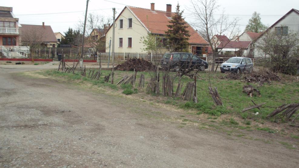 INGATLAN ÉRTÉK MEGHATÁROZÓ SZAKVÉLEMÉNY A 6400 KISKUNHALAS, BORÓKA U. 7211 HRSZ. ALATTI KIVETT KÖZPARK. HRSZ: 7211 KISKUNHALAS, 2019. 04. 08.