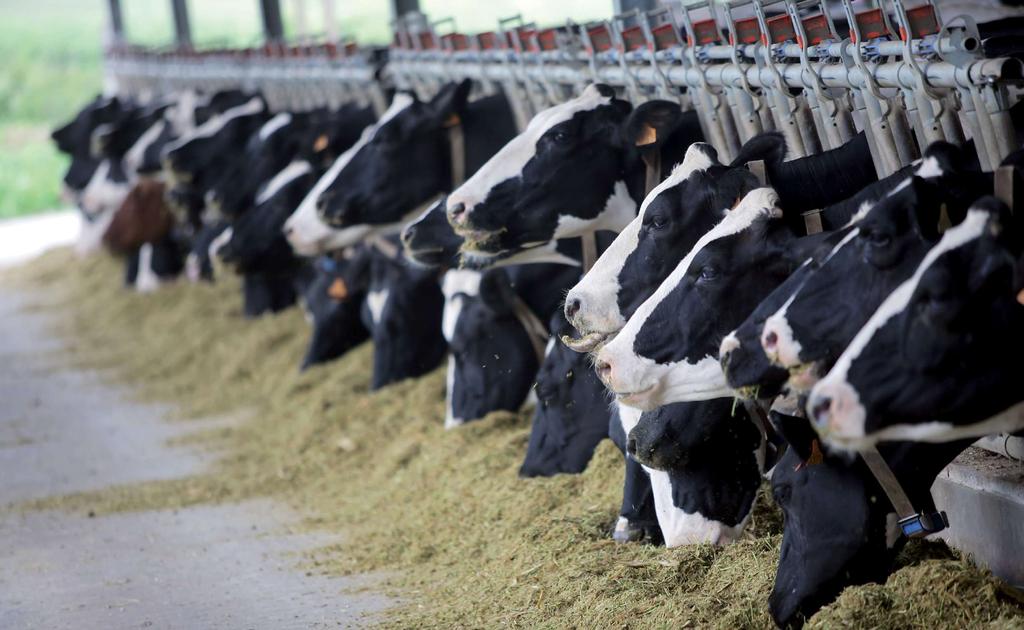 SILÓTARTÓSÍTÓK UNI 300 TARTÓSÍTÓ ADAGOLÓ Az Uni 300 adagoló pontos