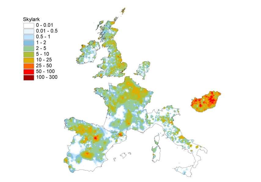 Állománysűrűség európai léptékben (2000-2005) HU mezei pacsirta