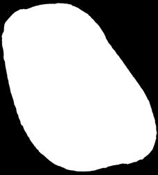 többféle, 470 g, 998 /kg 469