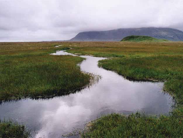 ogfræðaseturháskólaíslandsásuður landimeðþremurstarfsstöðvum;að ReykjumíHveragerði,áSelfossiauk Gunnarsholts. Þann6.aprílopnaðisvoforsetiÍslands RannsóknaogfræðaseturHáskólaÍs landsígunnarsholti.