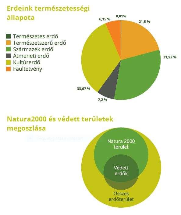 A projektünk munkaterülete - Több