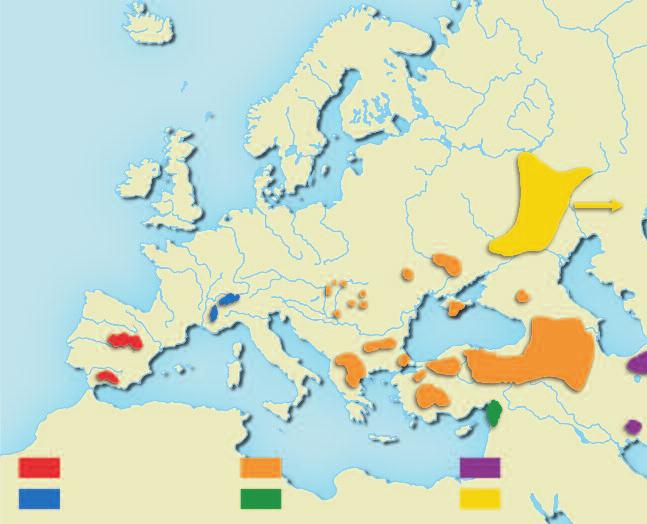 A ponto-kaszpi elterjedési típust képviselô gerinces állatok többnyire a Kárpát-medence belsô, síkvidéki-dombsági régióira jellemzôek.