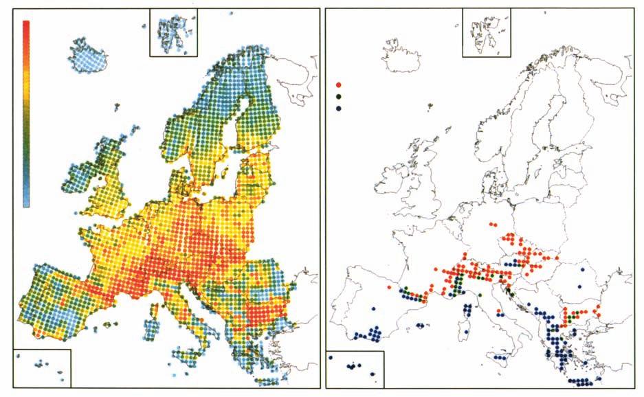 Mindentudás Egyeteme Evolúció: az élôlények népességeiben (szaporodásközösségeiben) lezajló genetikai változásokkal leírható és jellemezhetô fejlôdési folyamat.