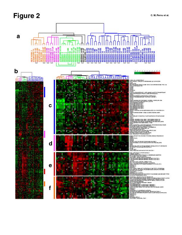 Clustered Microarray Data Genes with