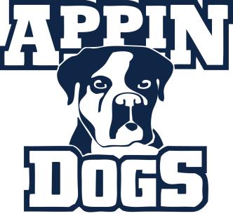 Appin Park, Saturday Reserve Grade 5pm Appin Dogs