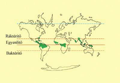 tanulói munkafüzet A trópusi esőerdők világa 5 A trópusi esőerdők világa A trópusi övezetet északon a Ráktérítő, délen a Baktérítő határolja.