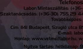 Csébi Péter PhD Teleradiológia +36